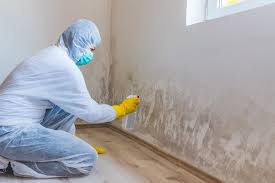 Professional Mold Removal in Throop, PA